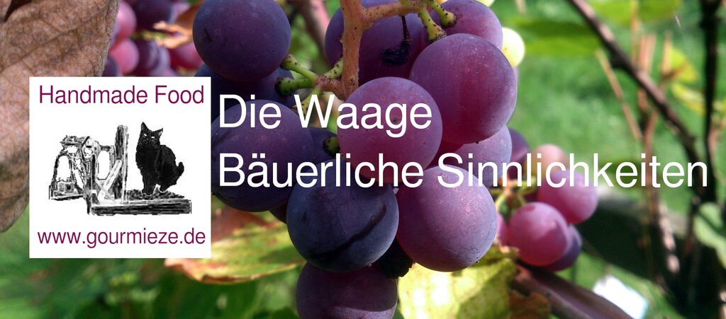 Header Shop: Weintrauben im Garten mit Logo (Katze auf Dezimalwaage)