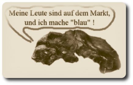 Schwarzer kater sagt: Meine Leute sind auf dem Markt und ich mache "blau"