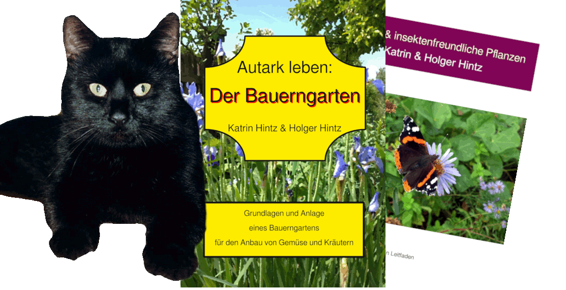 Gourmetkater mit Buchcovern
