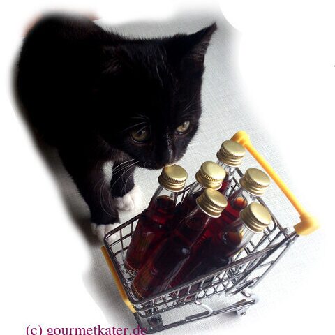 Kleine Katze neben Spielzeug-Einkaufswagen mit Flaschen