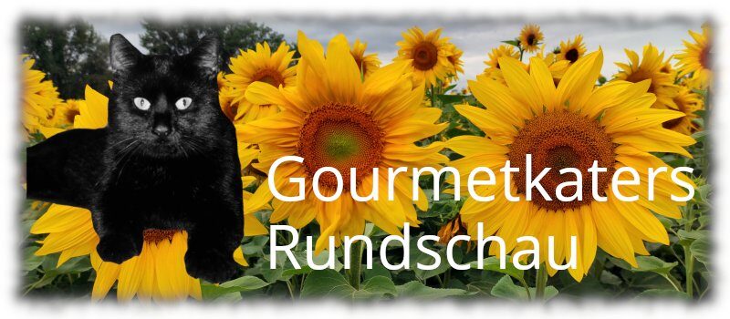 Header Newsletter Gourmetkaters Rundschau: Schwarzer Kater vor Sonnenblumen